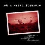 Various Artists - On A Weird Scenario